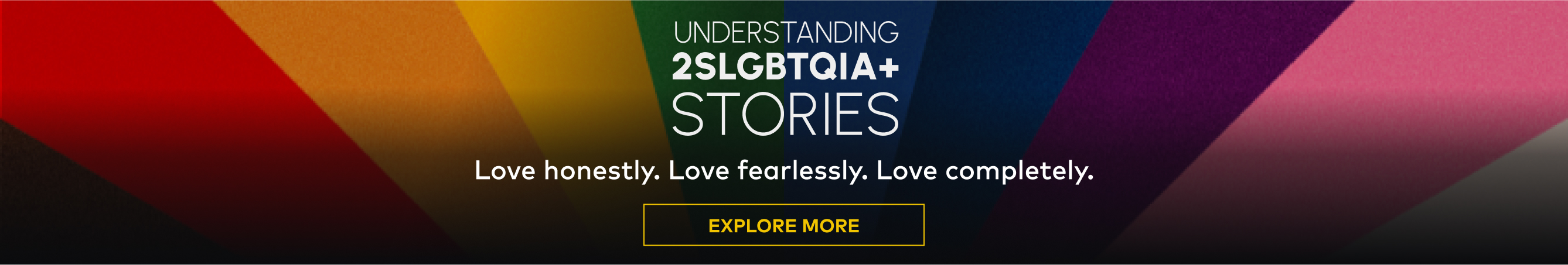 Understanding 2SLGBTQIA+ Stories